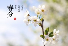 春分好时节《黄帝内经》教你养生学会了就能拥