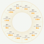 养生必备高清人体经络穴位动画图