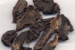 冬季进补需小心 中药与食物搭配有禁忌