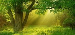 中医专家支招教您轻松度“苦夏