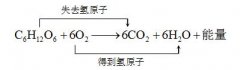 论《黄帝内经》关于气一元论的当代超前科学之
