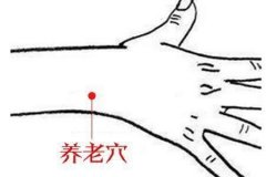 中医最爱的养生穴会用的人健康相随