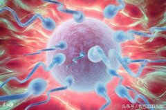 健康知识：男人想要“养精”蓄锐永远牢记这4个