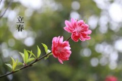 2018年立春：立春有哪些习俗与禁忌 立春和春分有