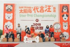 上海太阳岛度假酒店2018代言汪甄选活动圆满收官