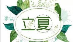 立夏养生可多吃这些食物多做这些事