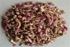 pk10计划_北京pk10计划_北京pk10计划全天在线计划