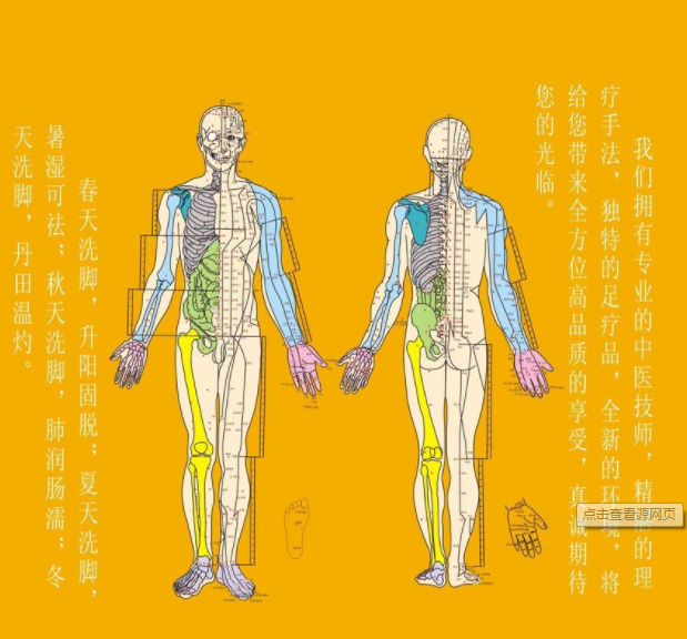 中医养生知识 经络按摩活络气血的秘诀