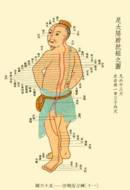 中医养生知识 经络按摩活络气血的秘诀