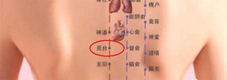 丰胸按哪几个穴位 乳中穴知道在哪儿吗