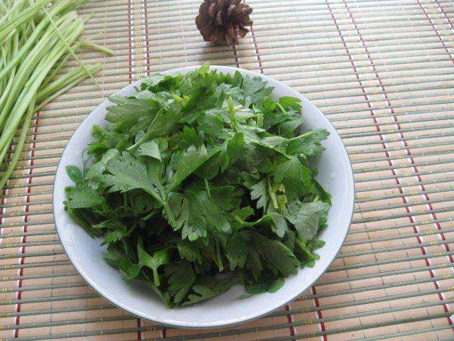 不该被丢弃的菜叶 这菜叶竟能除口臭